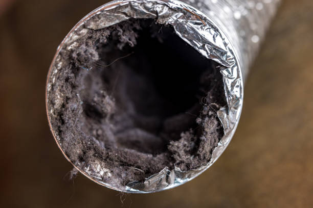 Best Commercial Air Duct Cleaning  in Iowa Falls, IA