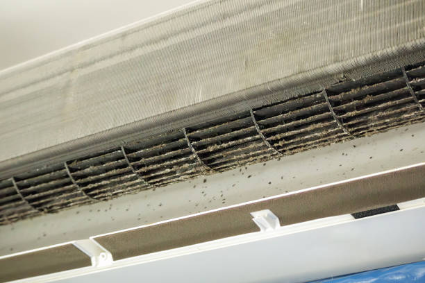 Best Air Duct Cleaning Near Me  in Iowa Falls, IA